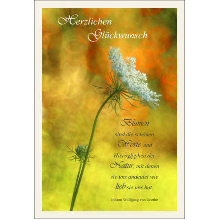 Glückwunschkarte „Blumen“